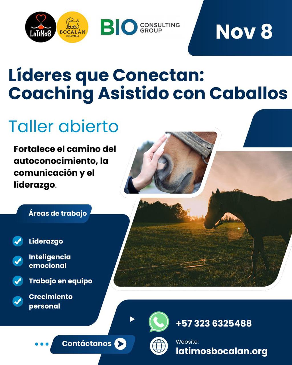 coachincaballos2